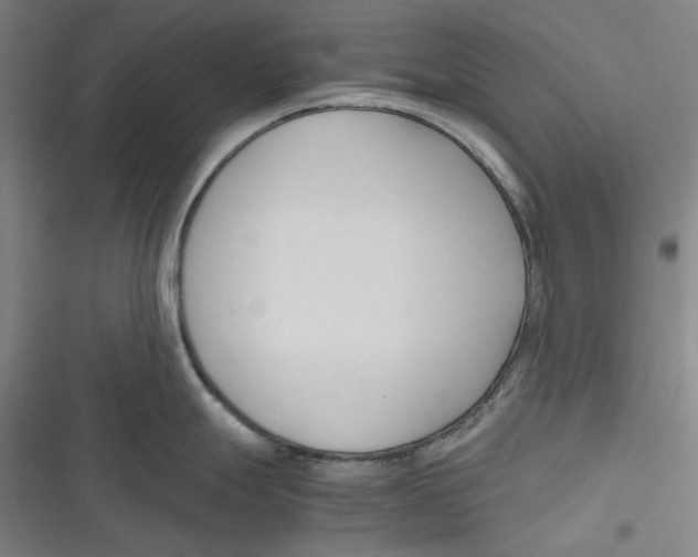 X0000116681247201001111325