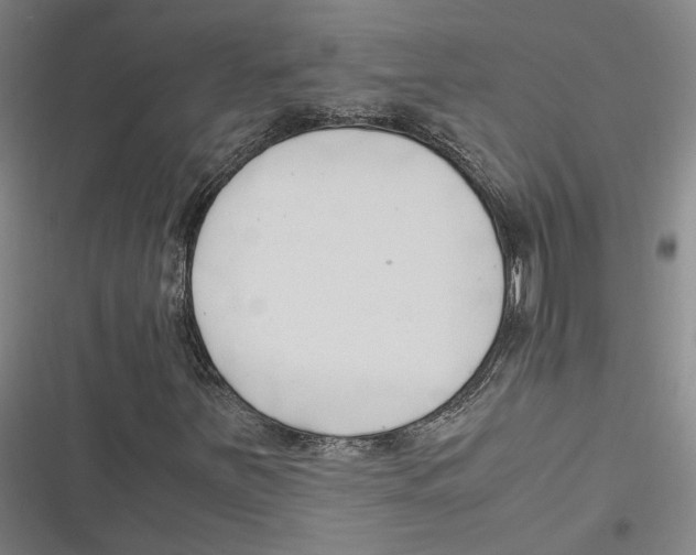 X0000116681251201001111324