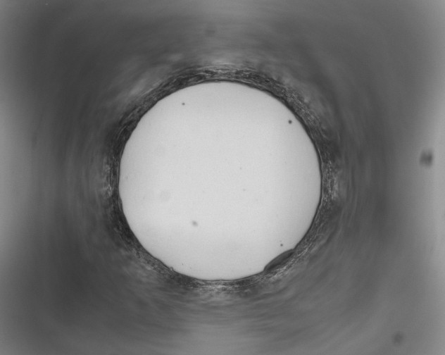 X0000116681253201001111324