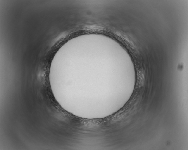 X0000116681254201001111324