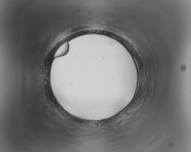 X0000116681255201001111324