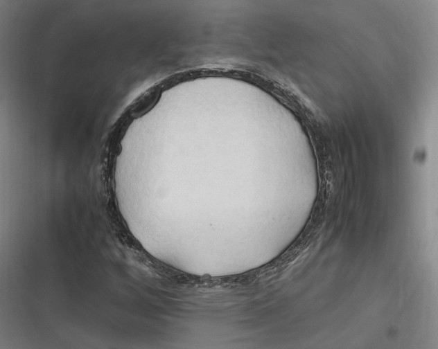 X0000116681256201001111324