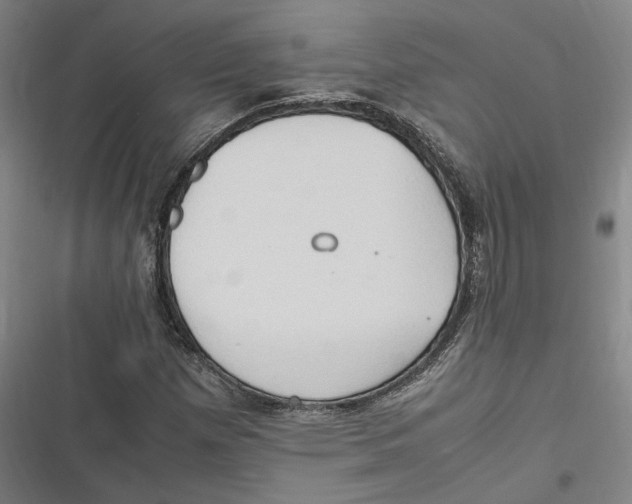 X0000116681257201001111324