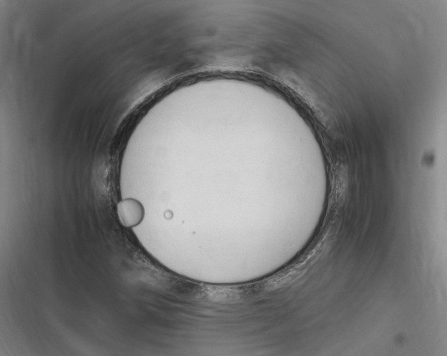 X0000116681258201001111324