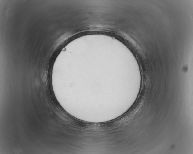 X0000116681259201001111324