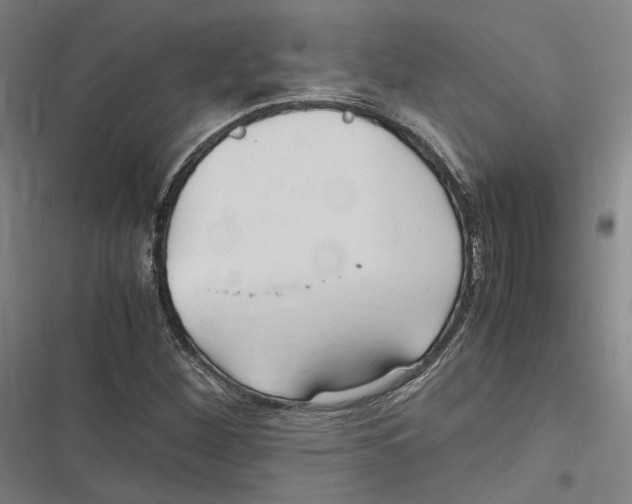 X0000116681260201001111324