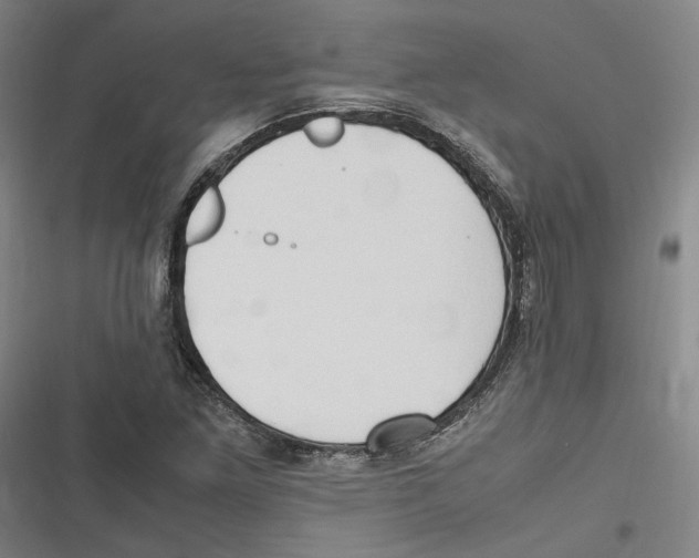 X0000116681261201001111324