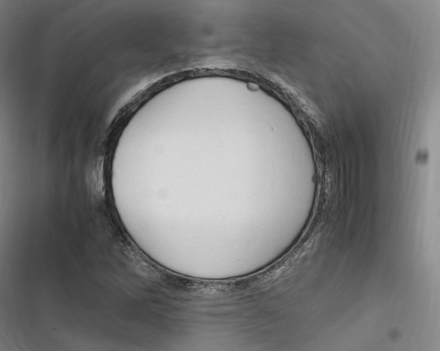 X0000116681262201001111324