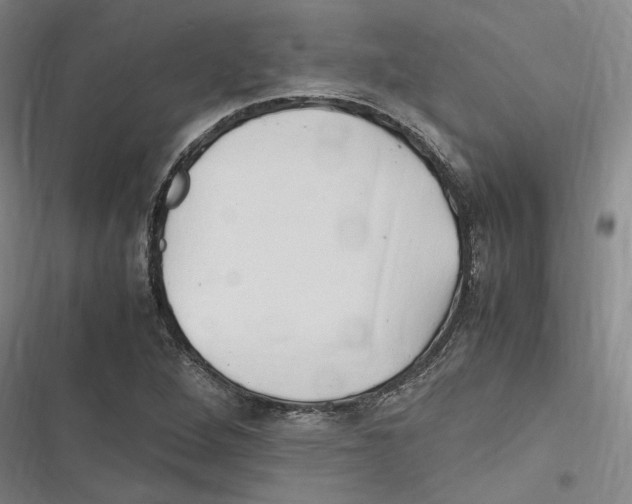 X0000116681264201001111324