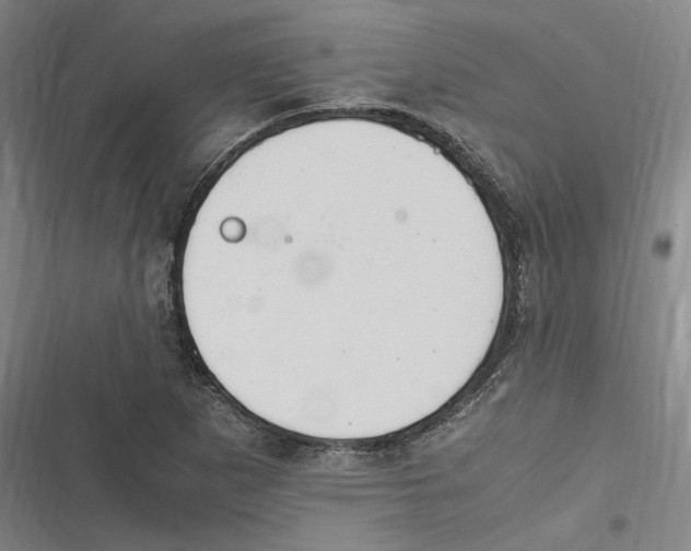 X0000116681265201001111324