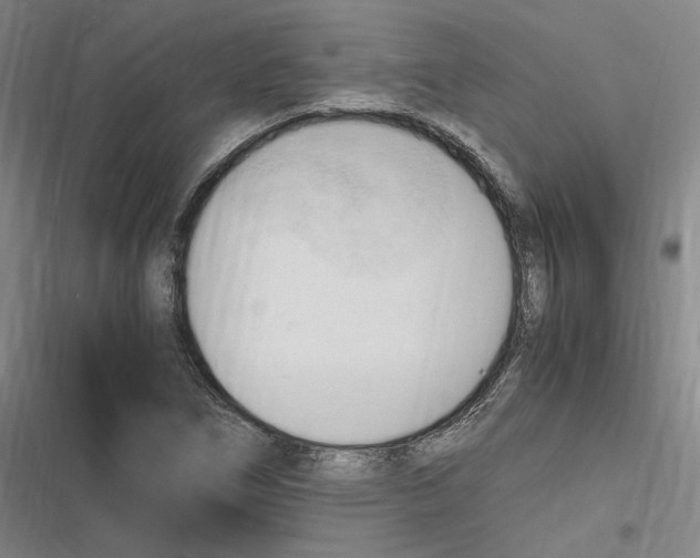 X0000116681266201001111324