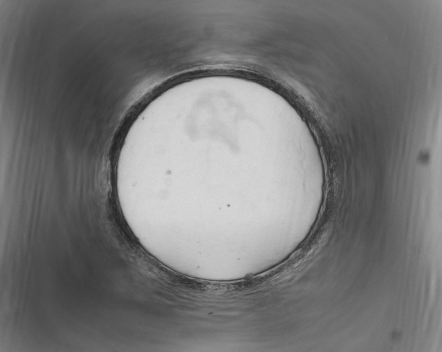 X0000116681267201001111324