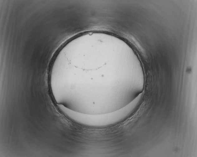 X0000116681268201001111324