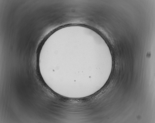 X0000116681270201001111324