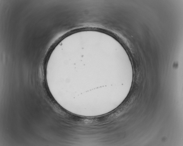 X0000116681271201001111324