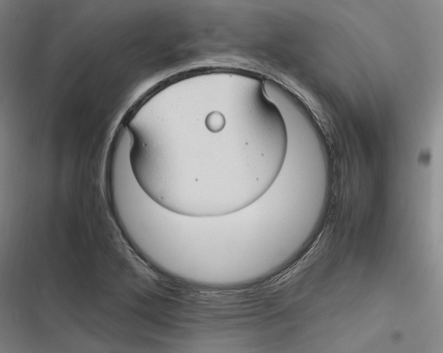 X0000116681272201001111324