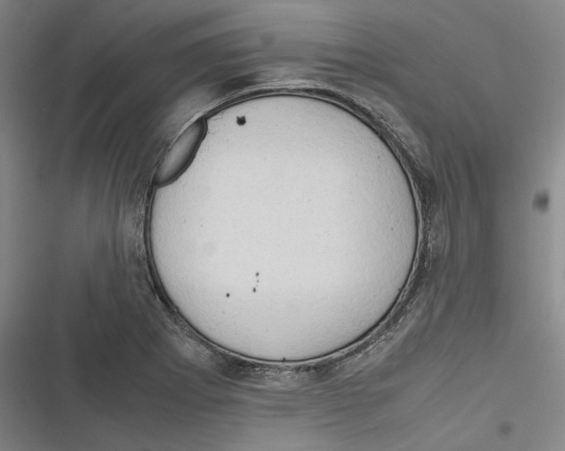 X0000116681273201001111324