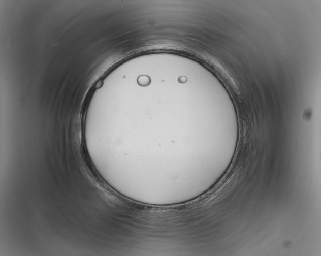 X0000116681274201001111324