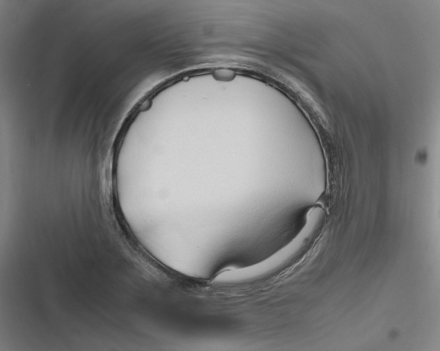 X0000116681275201001111324