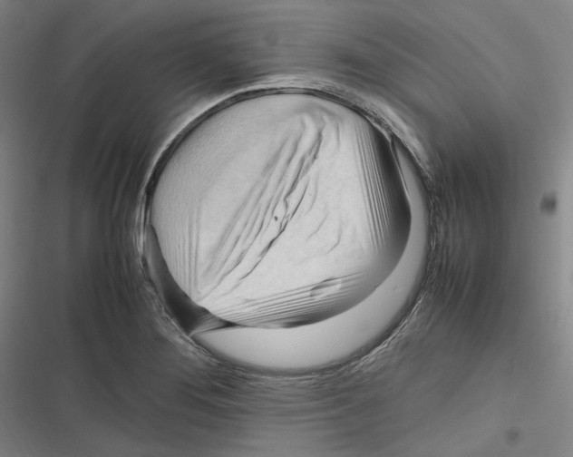 X0000116681276201001111324