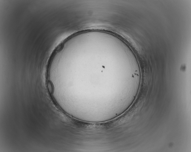 X0000116681277201001111324