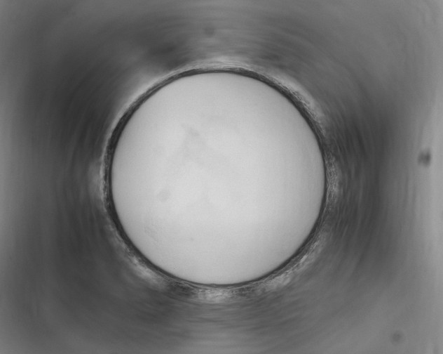 X0000116681278201001111324