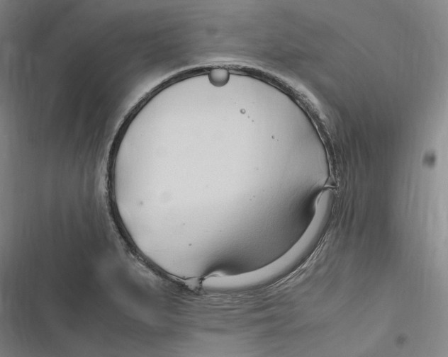 X0000116681279201001111324