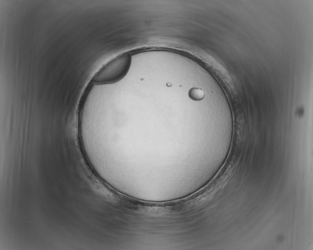 X0000116681280201001111324