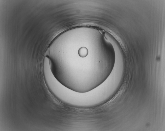 X0000116681281201001111324