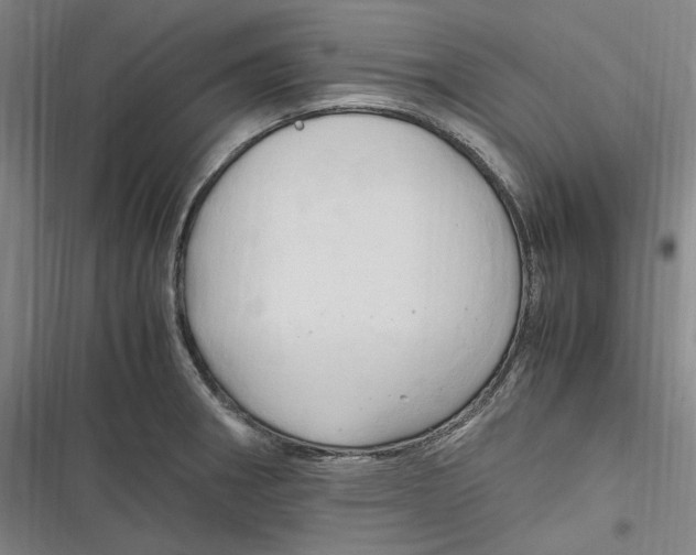 X0000116681282201001111324