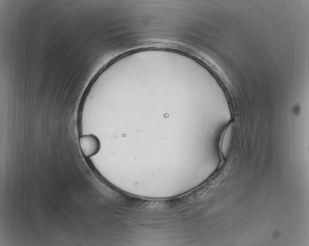 X0000116681283201001111324