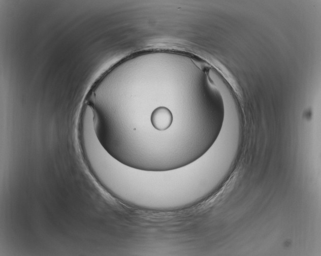 X0000116681285201001111324