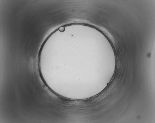 X0000116681287201001111324