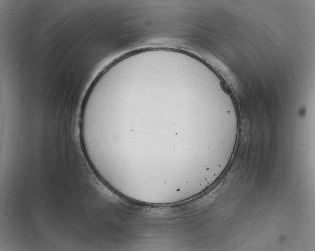 X0000116681288201001111324