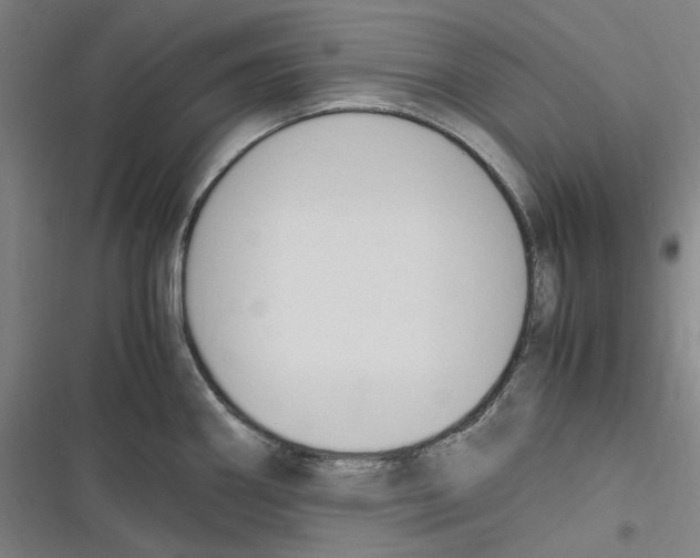 X0000116681290201001111324