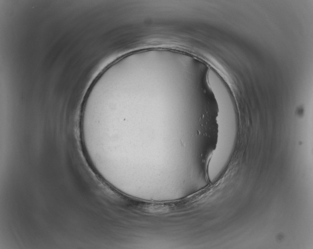 X0000116681291201001111324