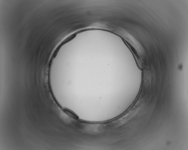 X0000116681292201001111324