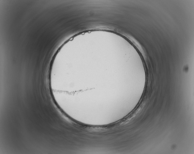 X0000116681293201001111324