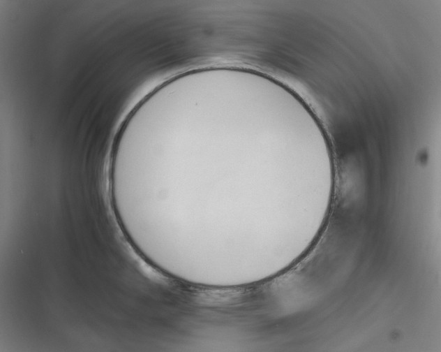 X0000116681294201001111324