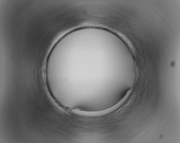 X0000116681295201001111324