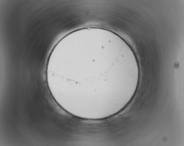 X0000116681296201001111324