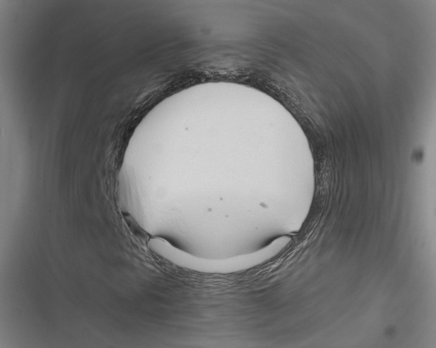 X0000116681297201001111323