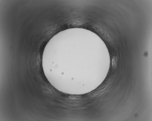 X0000116681299201001111323