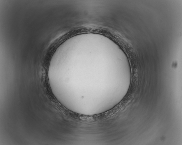 X0000116681302201001111323