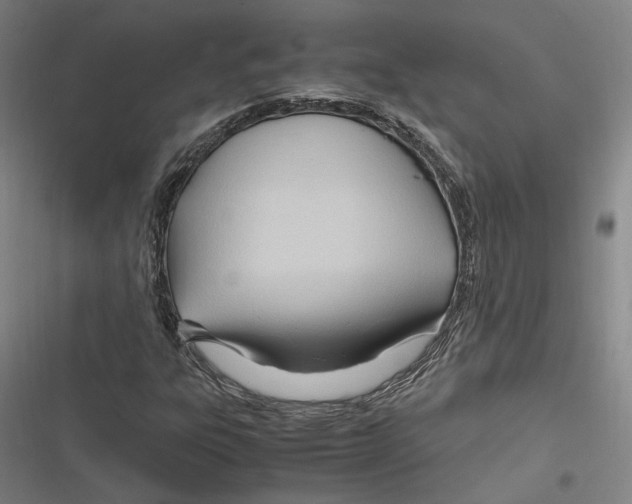 X0000116681303201001111323