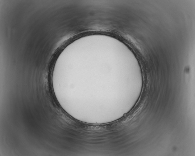 X0000116681307201001111323