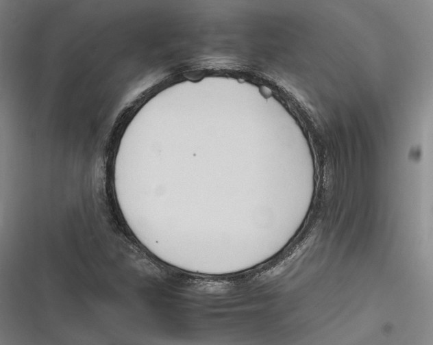 X0000116681309201001111323