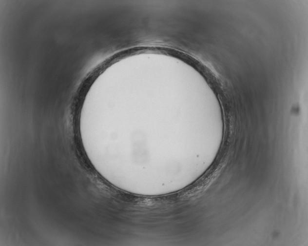 X0000116681311201001111323