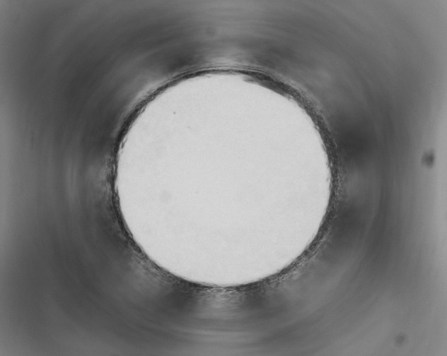 X0000116681314201001111323