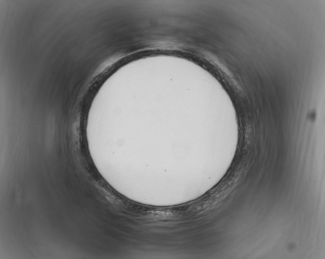 X0000116681315201001111323